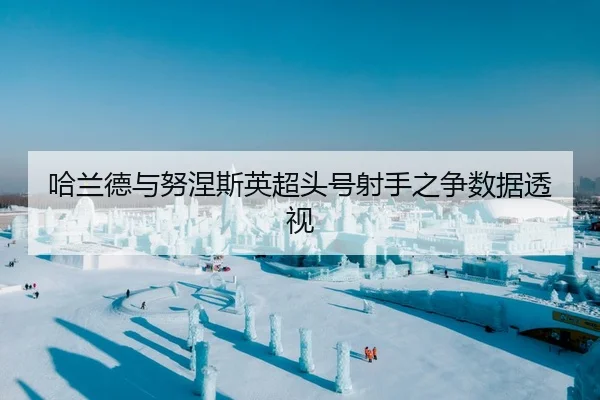 哈兰德与努涅斯英超头号射手之争数据透视